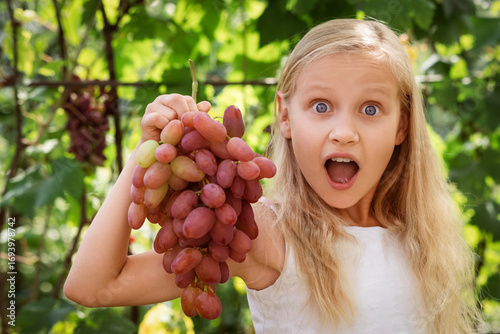 Grapes for Kids. Happy Girl Child eating Fresh Grapes in Vineyard Outdoor. Beautiful Girl holding Bunch of Large Grape Berries.