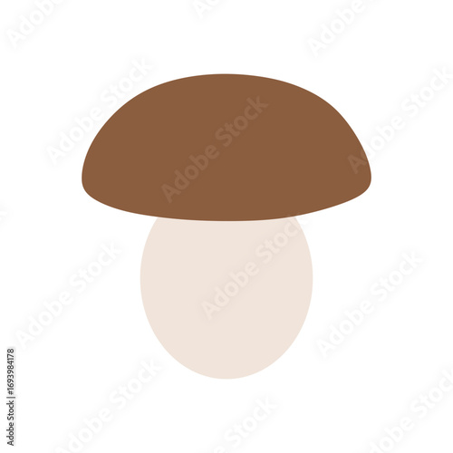 porcini mushroom vector illustration