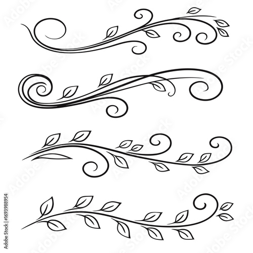 Elegant swirling vine leaf decorative flourishes vector