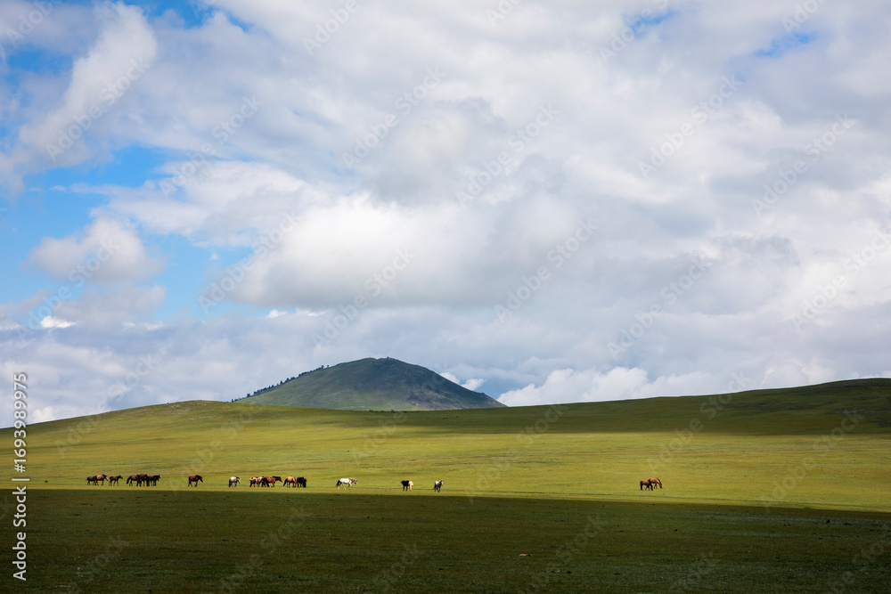 Obraz premium A breathtaking view of the vast Mongolian steppe after rain, with dramatic clouds covering the sky and a dirt road leading toward the horizon. The scene captures the mystery and beauty of Mongolia’s u