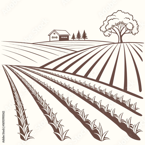 A rural wheat field landscape with a train on the railway track