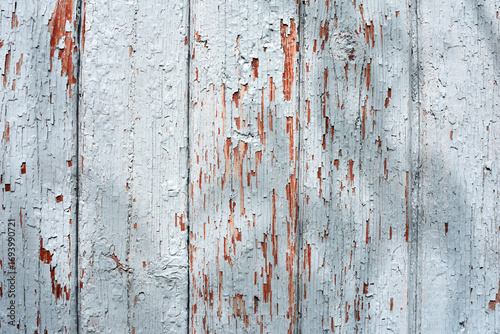 Old Shabby Wooden Planks with cracked gray Paint. wooden, retro, vintage background. old cracked paint on wooden boards. close-up, macro photo. cracks, rough, old paint peeling off