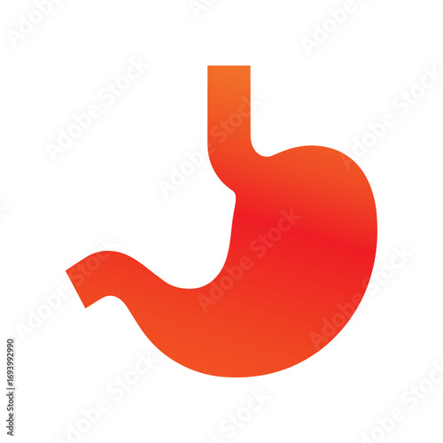 Clean Green Stomach Illustration for Professional Nutrition and Wellness Branding