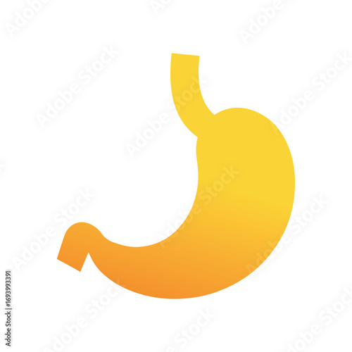 Flat Vector Stomach Logo for Healthcare and Nutrition Awareness Promotion