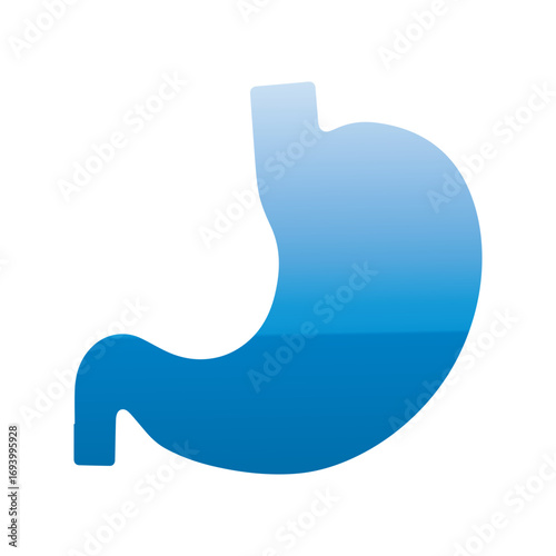 Professional Green Stomach Illustration for Nutrition and Wellness Campaigns