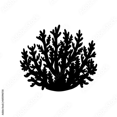 Silhouette of a coral formation on transparent background