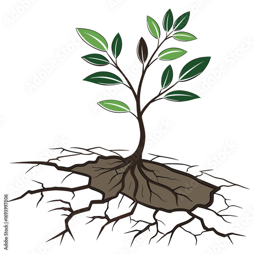 Resilience and Growth: A symbolic depiction of a plant emerging triumphantly from cracked earth, representing resilience, growth, and the enduring power of nature.