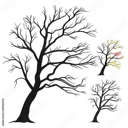 Black bare tree branches with hints of color silhouette