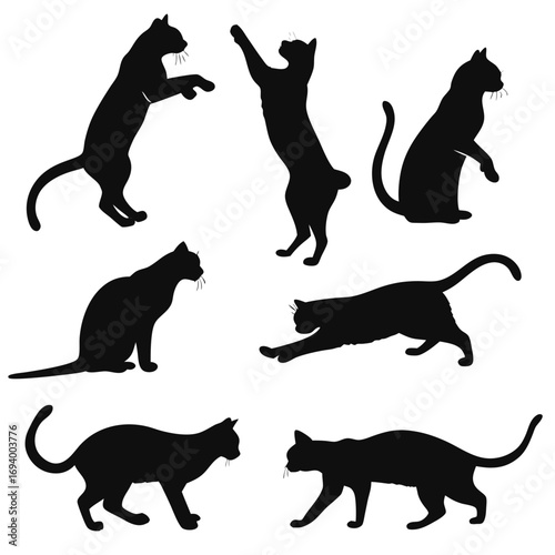 Black cat silhouettes various poses stretching sitting walking animal