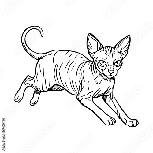 A hairless Canadian Sphynx cat is depicted in a playful pose, showcasing its unique features and slender body. The cat has large ears and expressive eyes.