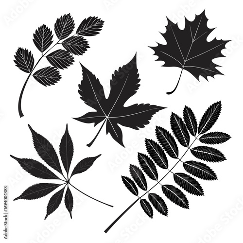 Black leaf silhouettes on white background leaves nature