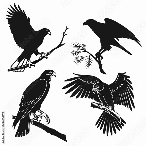 Black silhouettes of birds of prey perched and in flight falcon hawk