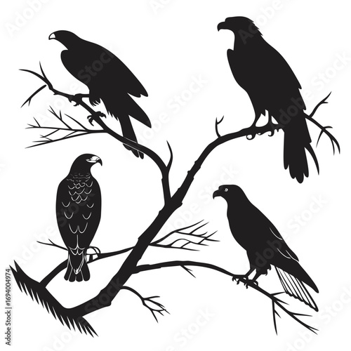 Black silhouettes of birds perched on branches vector