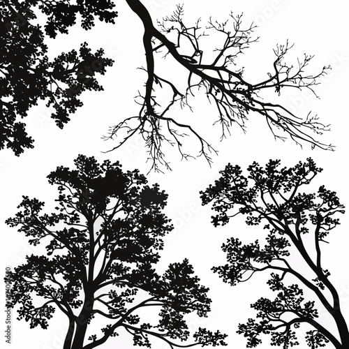 Black tree canopies and bare branches against white tree canopy leaf cluster