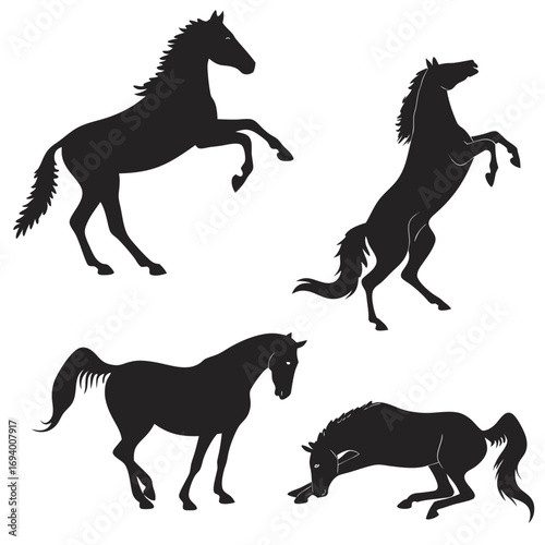 Four black horse silhouettes in various poses rearing standing