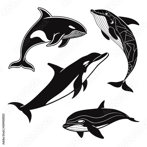 Four black whale and dolphin silhouettes killer whale orca