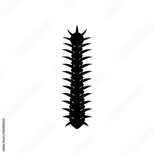 Silhouette of a centipede bug on transparent background