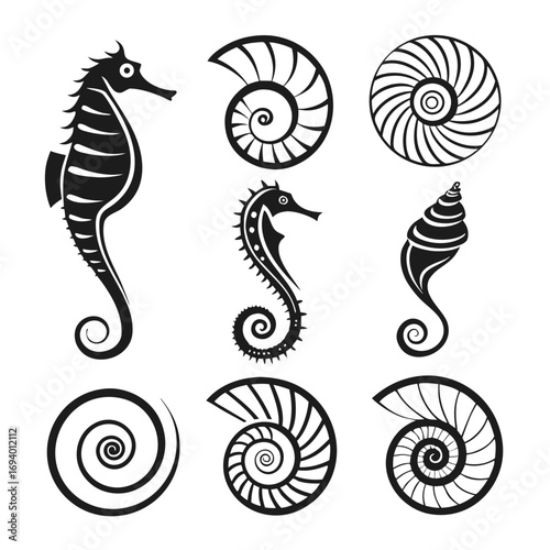 Seahorse and spiral shell silhouettes nautilus swirl