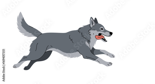 Dynamic action scene depicting a gray wolf in full gallop with prey in mouth
