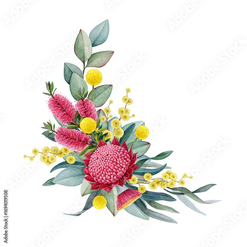 Australia native flowers floral decor watercolor illustration on white background. Hand drawn Australian flora decoration design element with waratah flower, gum tree leaves, golden wattle