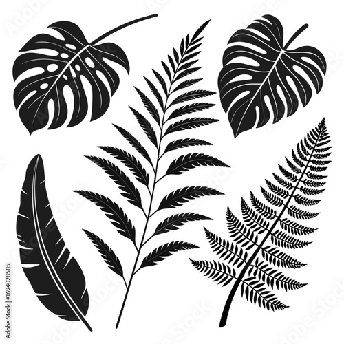 Monstera fern and banana leaf silhouettes monstera leaf fern frond