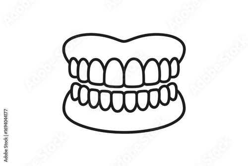 Vector cartoon illustration of a complete human teeth set, dental anatomy outline, oral health concept, tooth care graphic for apps, dentistry design with transparent background