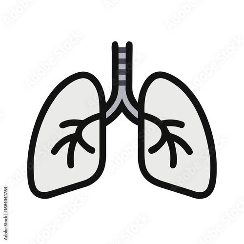 human lungs vector