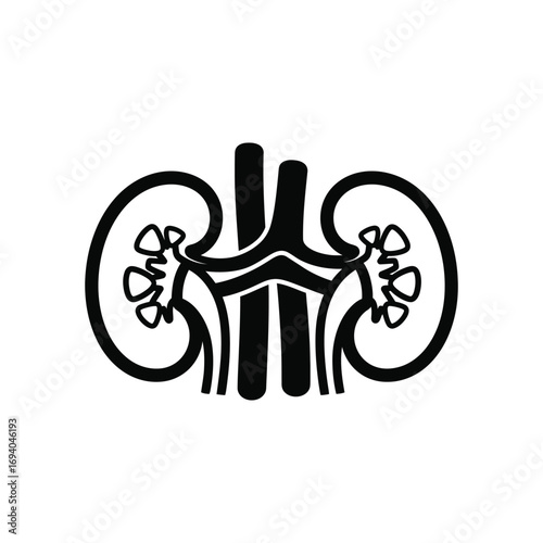 Human Kidneys Anatomy Icon - Black and White Illustration