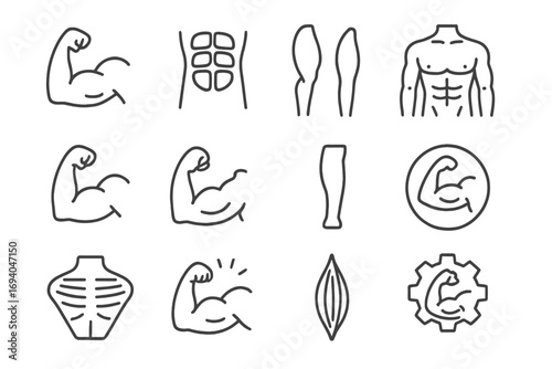 Muscles anatomy icons set. Editable stroke vector pack with biceps, abs, calf, rib cage, muscle fibers. Fitness, bodybuilding, gym, health symbols collection for websites, apps, cards.