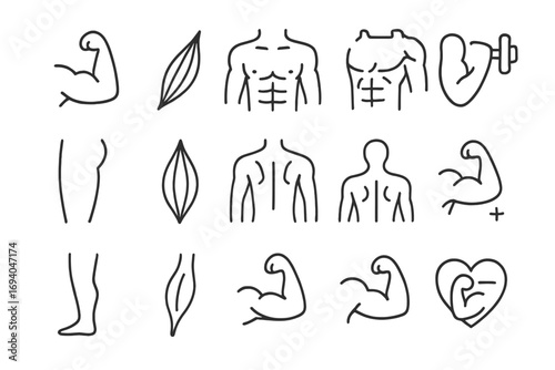 Muscles icon set, thin line editable stroke vector collection of human body muscle anatomy symbols, fitness, strength, biceps, torso, arms, legs, health, workout, cartoon style