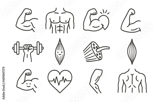 Muscles icon set collection bundle, editable stroke vector illustrations for fitness, anatomy, health, workout, strength, bodybuilding, gym, medical, and muscle anatomy design
