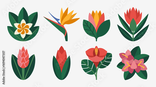 Flower illustration with colorful blossoms and green leaves