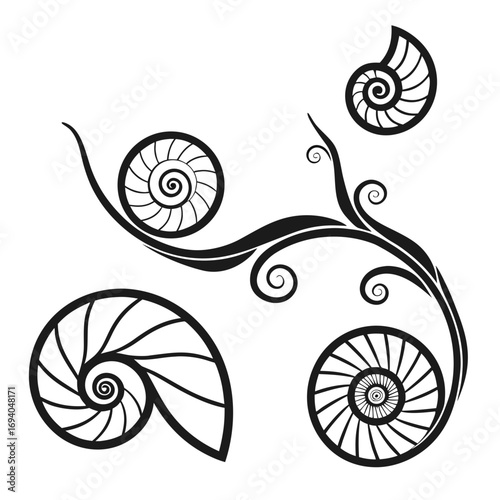 Black abstract swirl and spiral motifs nautilus shell