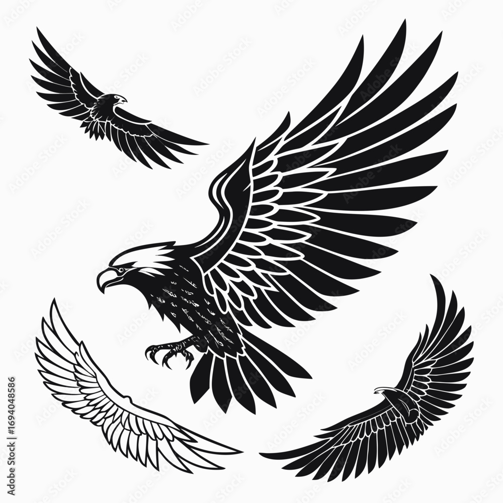 Obraz premium Black eagle and wing designs wings flying