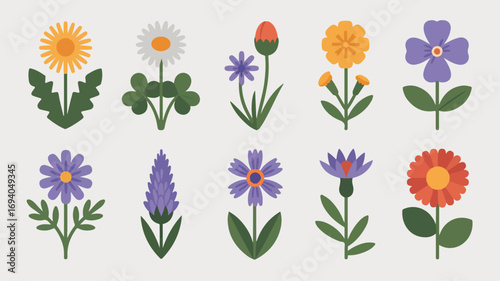 Colorful flower illustrations with diverse designs for decoration and craft projects