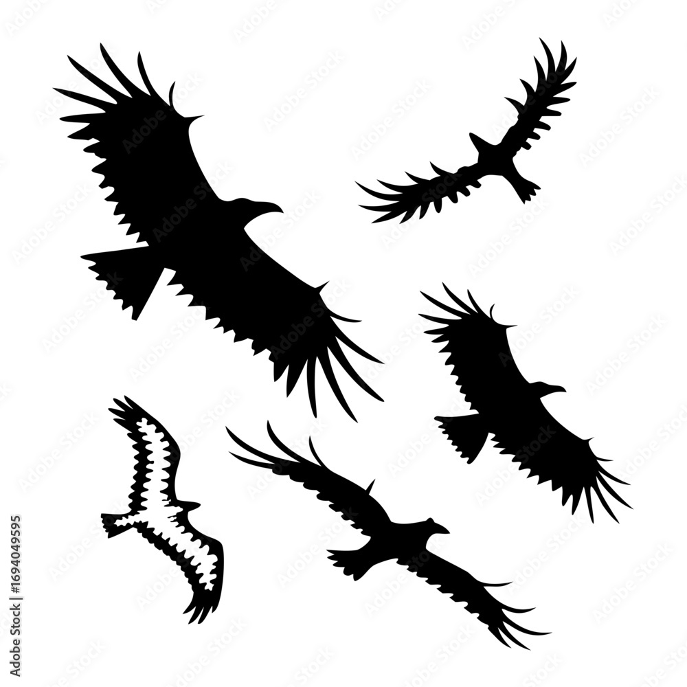 Obraz premium Black silhouettes of birds in flight flying wings