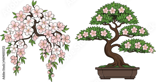 Elegant cherry blossom branch and styled bonsai tree with pink flowers, natural spring floral design, indoor potted plant, garden decoration element