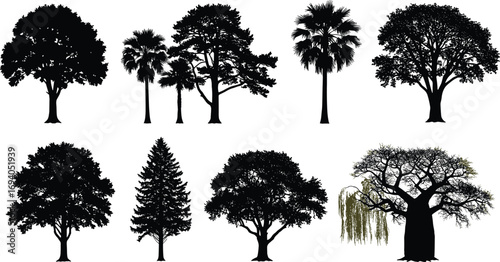 Tree Silhouettes in Diverse Shapes – Botanical Vector Set for Nature, Landscape, Education, Environment, Design, Classification, and Foliage Themes