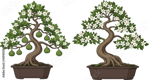 Beautiful bonsai trees with green leaves, white flowers, fruit hanging, elegant branches, in brown pots, perfect for garden decoration, nature art, and design inspiration.