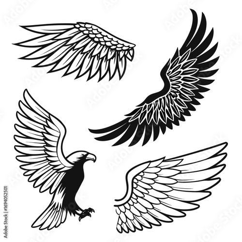 Eagle wings and stylized wings bird flying