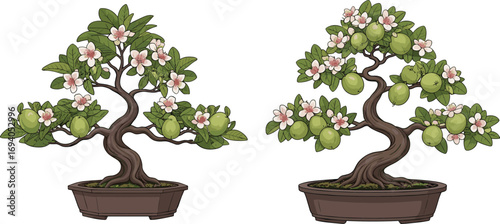 Beautiful flowering bonsai apple trees with fruits and blossoms, potted ornamental miniature trees, perfect for garden design, indoor decor, or botanical artwork.
