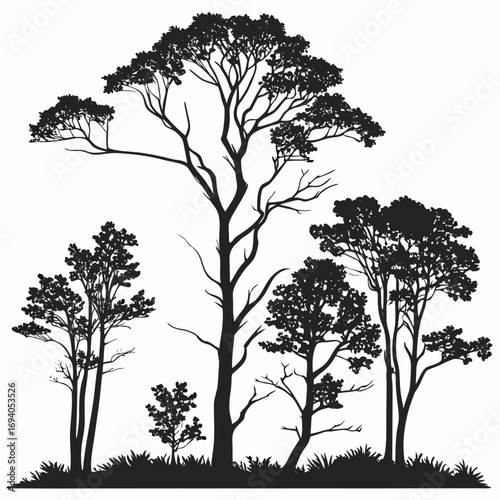 Forest trees canopy foliage silhouette vector