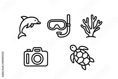 Minimalist snorkeling icons: dolphin, coral, camera, turtle, snorkel gear