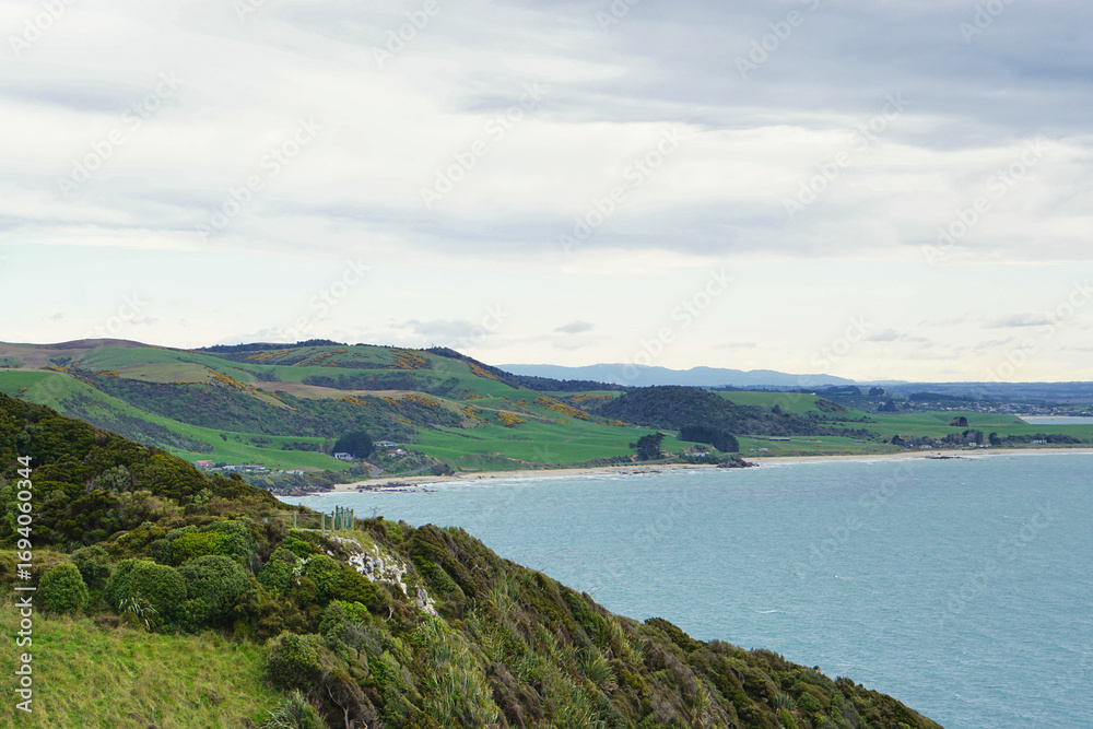 Fototapeta premium New Zealand coastline, green hills, farmland by the sea, coastal landscape, ocean view, rolling hills, rural New Zealand, scenic seascape, countryside landscape, lush greenery, nature photography, wil