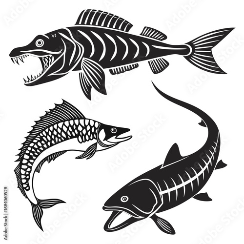 Three prehistoric fish silhouettes armored fish