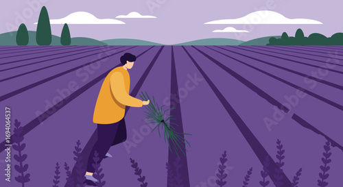 Man harvesting fresh lavender in a vibrant purple field, illustrating agricultural work, natural beauty, and a peaceful rural lifestyle. Ideal for organic and wellness concepts.
