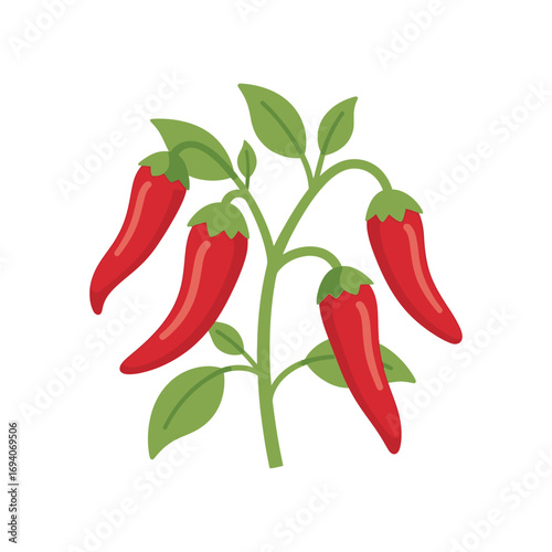 Red chili peppers on a plant branch, flat illustration.