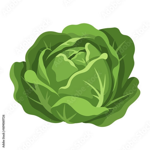 A vibrant green cabbage head with layered leaves, depicted in a stylized, vector illustration.
