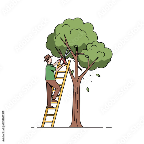 Gardener pruning tree branches on a ladder, illustration.