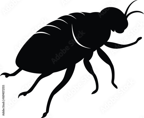 black beetle vector on transparent background